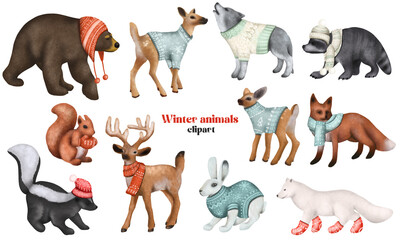 Set of woodland animals in winter clothes, Christmas cute characters clipart, isolated illustration on white background