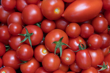 Fresh, red tomatoes, different varieties from the garden, background, wallpaper