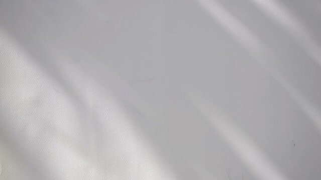 Sunlight shadows moving on white wall surface.