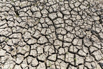 Russia. Saint-Petersburg. Cracks on the ground on the shore of Copor lake.