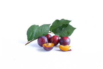 Plum branch with leaves and ripe fruits. 