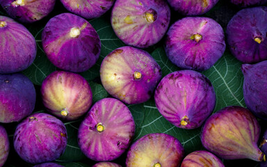 Purple figs close up view on the leaves