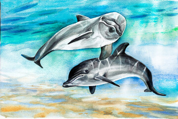 Dolphins in  sea under water . Color watercolor illustration. Reflection of  sun's rays.