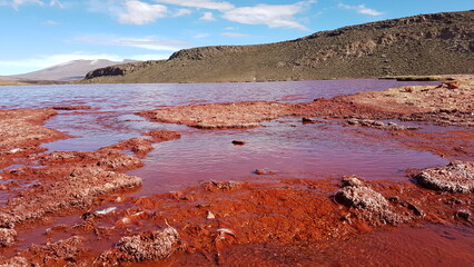 Laguna Roja (Lagune Rouge) au Chili