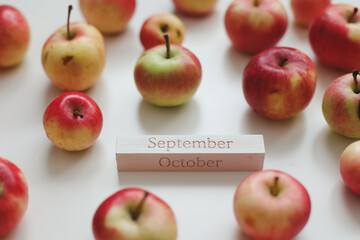 hello autumn card with fresh red apples on white background top view
