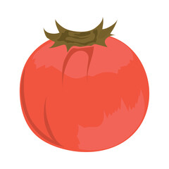 tomato vegetable icon