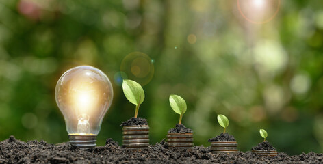 The light bulb is located on the soil. and plants grow on stacked coins Renewable energy generation...