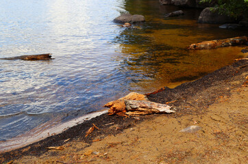 Small lakeside beach in Algonquin National Park, Ontario