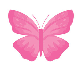 pink butterfly icon