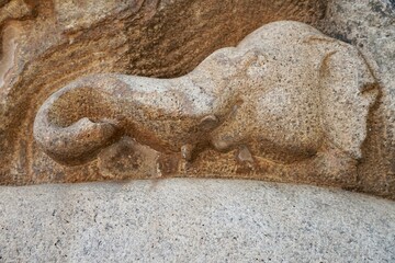 Bas relief rock cut sculptures of Elephant are carved in the monolithic granite rocks in Mahabalipuram, Tamil nadu. Ancient historical bas relief sculpture carved in the stone rock in Mahabalipuram.