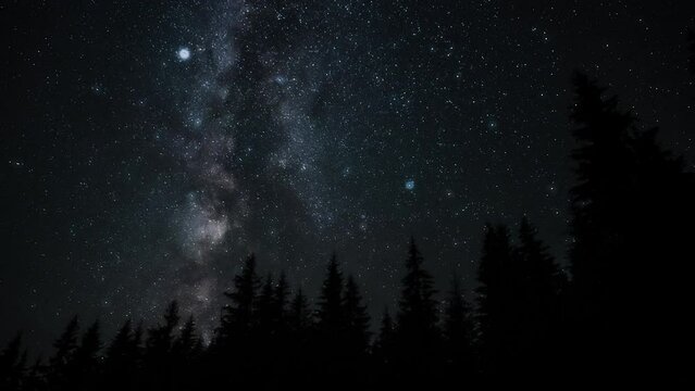 Timelapse of The Milky Way galaxy moves above the silhouettes of trees