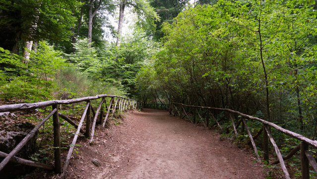 Sentiero nel bosco, Faggeta del monte Cimino, Lazio, Italia