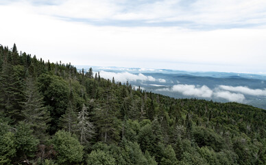 Obraz premium Clouds on the Mountain