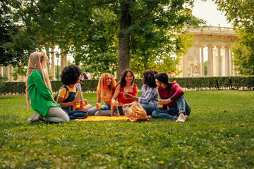 Friends on picnic in park - obrazy, fototapety, plakaty