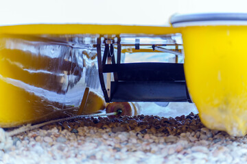 Rowing blades of a sea pleasure catamaran