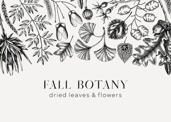 Vintage Autumn background. Black and white fallen leaves and dried flowers sketches. Floral frame. Hand-drawn dried herbs, fall leaves, mushrooms, and fruit illustration. Thanksgiving background.