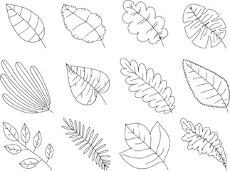 Leafs hand-drawn vector collection