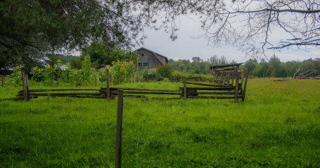 Old barn on a farm in the canadian countryside in Quebec	
canada, quebec, barn, traditional, tree, view, architecture, farm, house, meadow, wooden, background, wood, building, travel, beautiful, sky, 