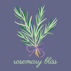 Rosemary bouquet illustrations with ribbon. Original, hand-drawn vector. Ideal for packaging, SPA, baby products, tea, healthcare, etc. Flower Rosemary, Rosemarinus. Summer herb.