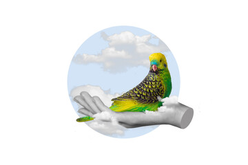 Poster collage of hand hold parrot isolated on painting white color background
