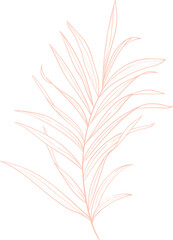 Decorative Branch Illustration, Dried palm leaves. Watercolor illustration. Tropical leaves.
