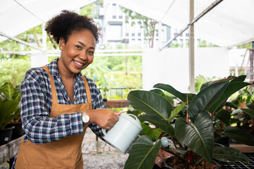 African American female gardener taking care of plants standing with watering can on the ladder in the ornamental plants in store.