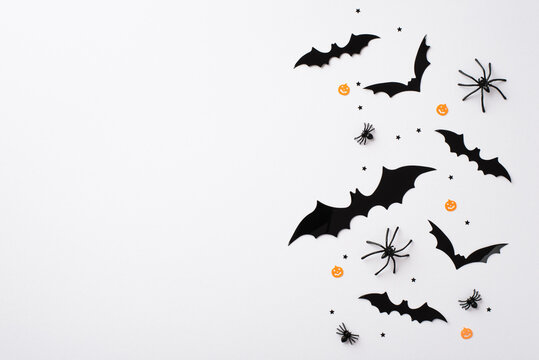 Halloween concept. Top view photo of bat silhouettes spiders and confetti on isolated white background with empty space