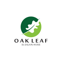 vector oak leaf logo template