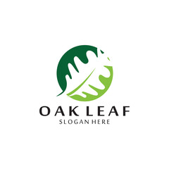 vector oak leaf logo template