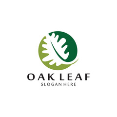 vector oak leaf logo template