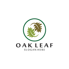 vector oak leaf logo template