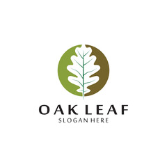 vector oak leaf logo template