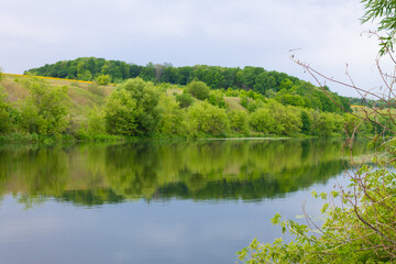 Summer green landscape of nature river. River in the countryside in summer. Rural river in summer