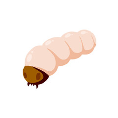 Edible caterpillar. White insect larva. Source of animal protein.