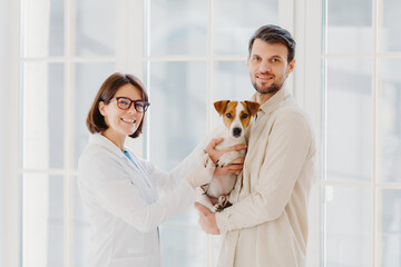 Vetarinary and animal healthcare concept. Happy smiling female vet care about dogs health, going to...