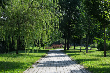 Empty path in a summer city park with trees and green grass. Beautiful quiet place for walking and relaxing without people