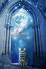 mystic magic divine gate portal with Universe, nebula, stars and Moon and beautiful cat like fantasy spiritual animals and mystical cat concept 