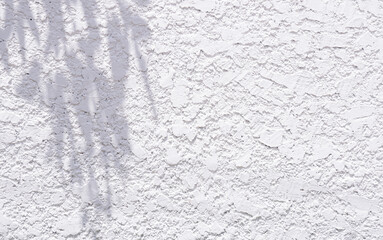 Gray shadow of leaves on white cement wall Abstract Neutral Nature Concept Background space for text.	