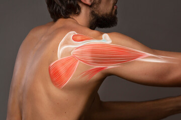 Anatomy shoulder and trapezius pain. Man view from back, back arm pain - obrazy, fototapety, plakaty