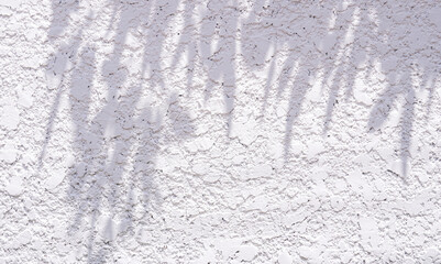 Gray shadow of leaves on white cement wall Abstract Neutral Nature Concept Background space for text.	