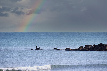 Two birds on a rock in the sea with rainbows