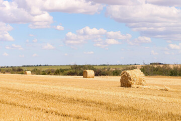 Haystack in field on summer day