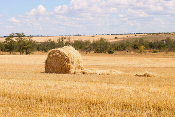Fototapeta premium Haystack in field on summer day