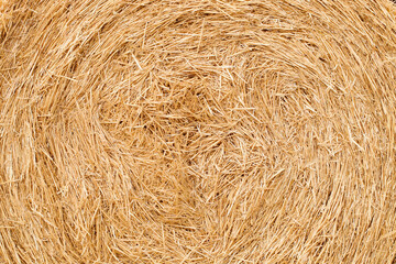Haystack close up
