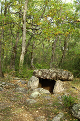 Dolmen de Cornudella.Bosque de Transás.Pirineo Aragones.Huesca.España. © Tolo