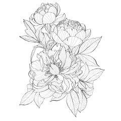 Decorative line peony flowers composition, design elements. Can be used for cards, invitations, banners, posters, print design. Golden floral background in line art style.