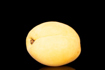 One bright yellow juicy apricot, macro, isolated on a white background.