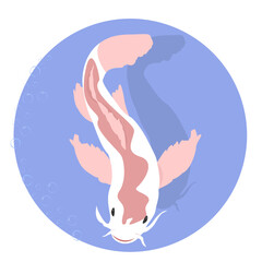 Japanese stylized koi carp. White-Red fish in a blue circle with bubbles.