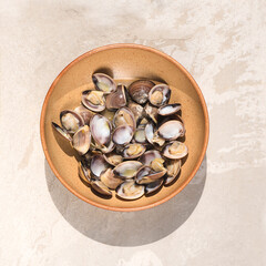 Delicious Clams (Venus clams or vongole) in the rustic dish, stone warm light background, bright sunlight. Aesthetic composition, fresh seafood