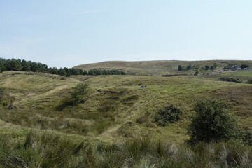 Obraz premium landscape with Hills and trees